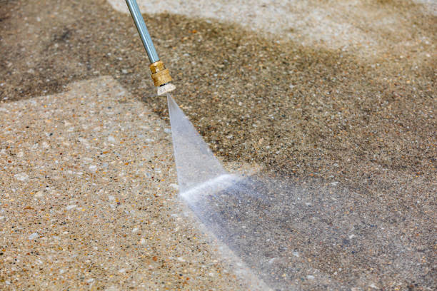 Animal Enclosure Cleaning in Thorofare, NJ